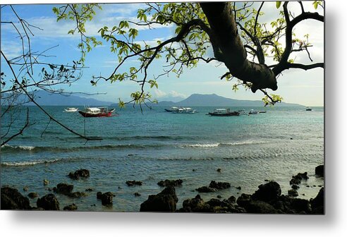 Tree Metal Print featuring the photograph Seaside landscape with tree by Robert Bociaga