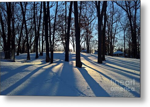 Winter Metal Print featuring the photograph Shadow Dance by Lisa Dionne