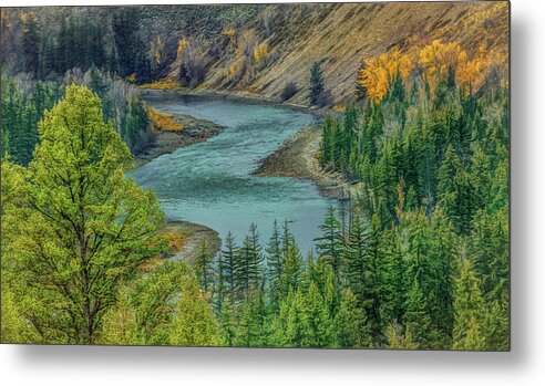  Metal Print featuring the photograph Snake River Autumn, Wyoming by Marcy Wielfaert