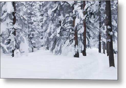Beauty Metal Print featuring the photograph Snow-dappled Woods by Don Schwartz