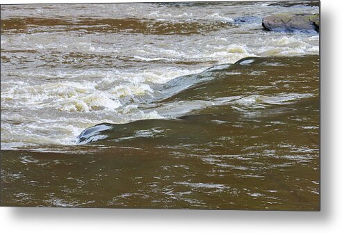 Flint River Metal Print featuring the photograph Some Flint River Flows by Ed Williams
