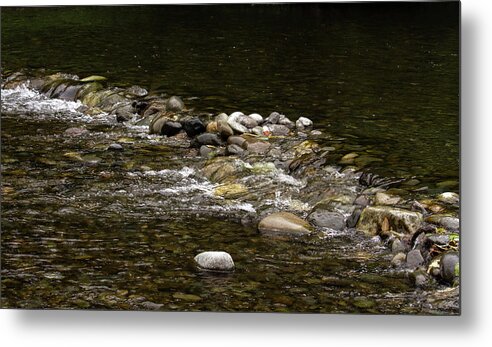 River Metal Print featuring the photograph Summer Day on Satsop River by Cheryl Day