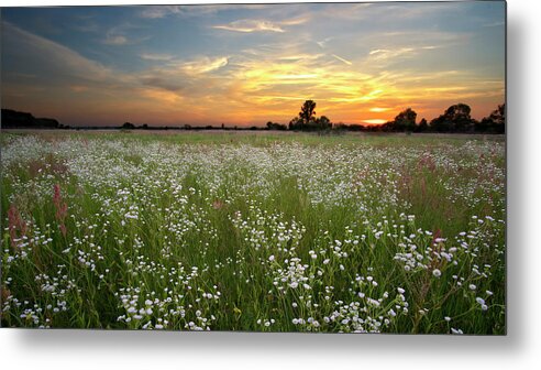 Golden Hour Metal Print featuring the photograph Summer Tranquility by Andrii Maykovskyi