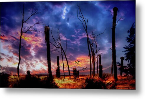 Sky Metal Print featuring the photograph The Remains of the Day by Micah Offman