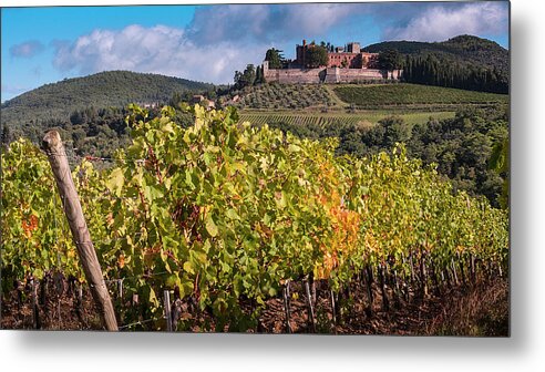 Winery Metal Print featuring the photograph Tuscany Winery by Louise Tanguay