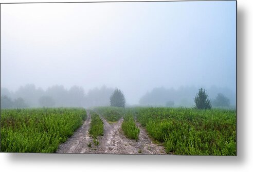 Morning Metal Print featuring the photograph Two Trails in Fog by Cris Ritchie