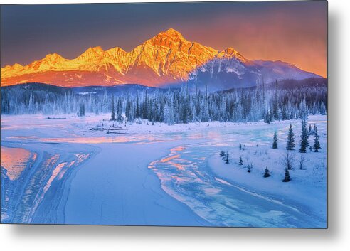 Winter Metal Print featuring the photograph Winter Fantasy by Henry w Liu