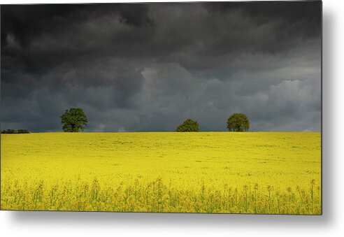 Landscape Metal Print featuring the photograph Yellow ocean 2 by Remigiusz MARCZAK