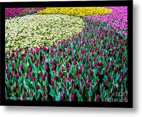 Green Metal Print featuring the mixed media Flower Sea by Philip HP Wong