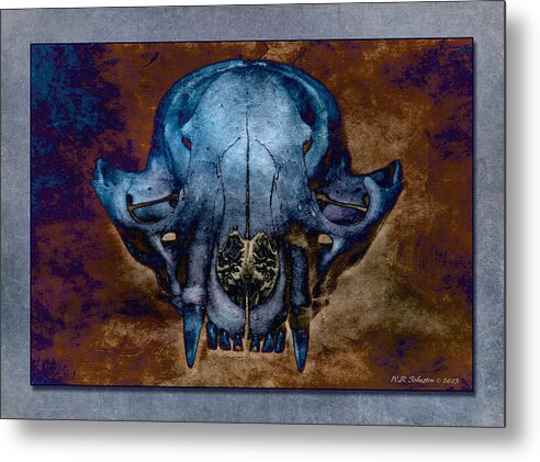 Fox Metal Print featuring the photograph Foxbone V by WB Johnston