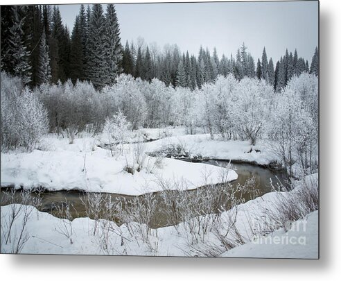 Idaho Metal Print featuring the photograph Frost on Kalispell Creek by Idaho Scenic Images Linda Lantzy