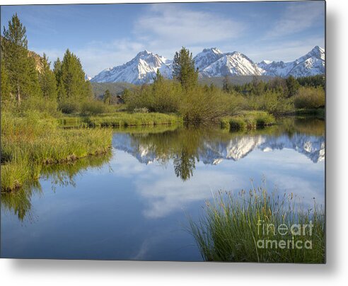 Idaho Metal Print featuring the photograph Mountain Daydream by Idaho Scenic Images Linda Lantzy