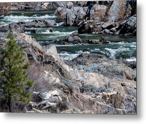 Winter Metal Print featuring the photograph Up the Creek by Jan Davies