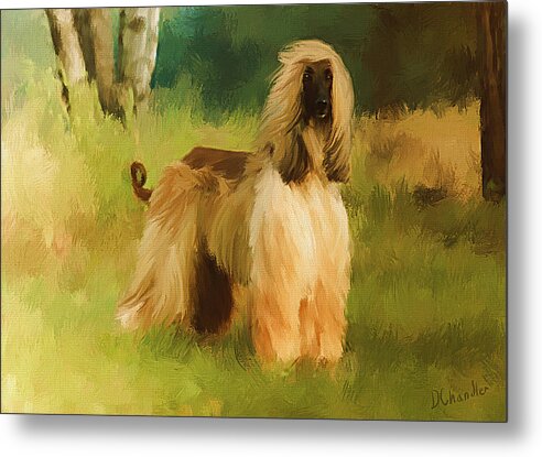 Afghan Hound Metal Print featuring the painting Chatai by Diane Chandler