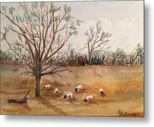 Sheep Metal Print featuring the painting Texas Sheep by Christine Lathrop
