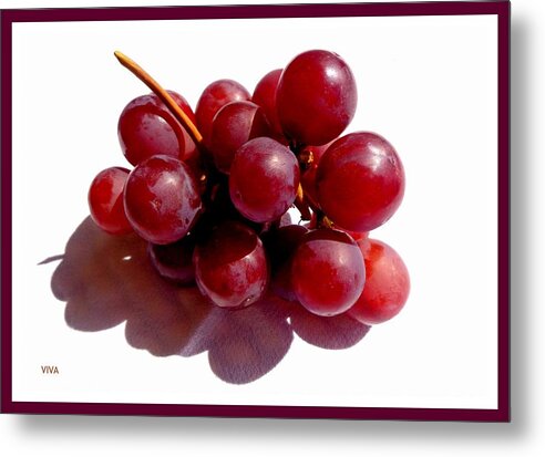 Grapes Metal Print featuring the photograph Before The Ecstasy - An Ode by VIVA Anderson