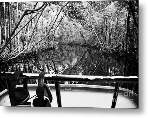 Airboat Metal Print featuring the photograph On Board An Airboat Ride Through A Mangrove Jungle In Everglades City Florida Everglades #1 by Joe Fox