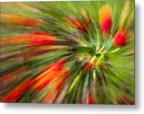 Abstract Flower Metal Print featuring the photograph Swirl of Red by Jon Glaser