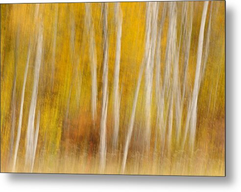 Abstracts Metal Print featuring the photograph Canadian Patterns and Impressions #8 by Don Johnston