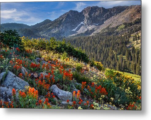Wasatch Metal Print featuring the photograph Wasatch Mountains of Utah #8 by Douglas Pulsipher