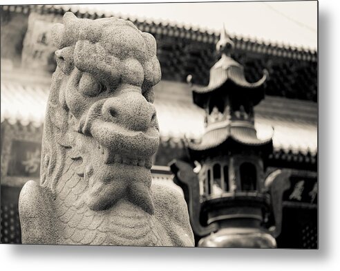 China Metal Print featuring the photograph 9462 by Matthew Pace