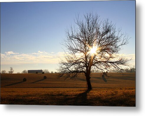 Landscape Metal Print featuring the photograph A Walk Through History by Heather Kenward