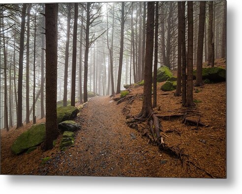 Appalachian Trail Metal Print featuring the photograph Appalachian Trail Landscape Photography in Western North Carolina by Dave Allen