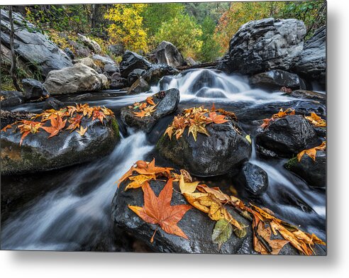 Arizona Metal Print featuring the photograph Autumn Flow by Guy Schmickle