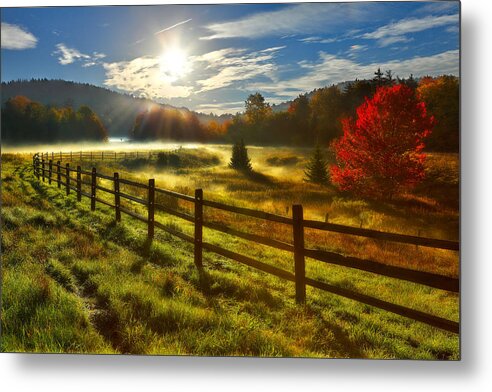 Fall Colors Metal Print featuring the photograph Autumn Meadow Sunrise I - West Virginia by Dan Carmichael