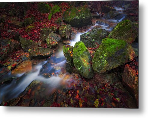 Red Metal Print featuring the photograph Autumn stream by Giovanni Allievi