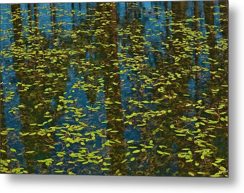 Blue Metal Print featuring the photograph Blue Lake Reflections by Sherri Meyer