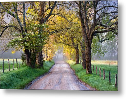 Cades Cove Metal Print featuring the photograph Cades Cove Great Smoky Mountains National Park - Sparks Lane by Dave Allen