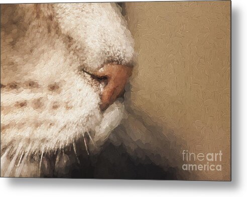 Cat Metal Print featuring the photograph Cats nose by Sheila Smart Fine Art Photography