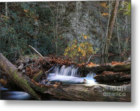 Cataloochee North Carolina Metal Print featuring the photograph Dammed Up in Cataloochee by Benanne Stiens