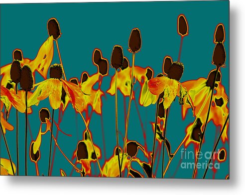 Flower Metal Print featuring the photograph Digital Garden 2 by Leo Symon