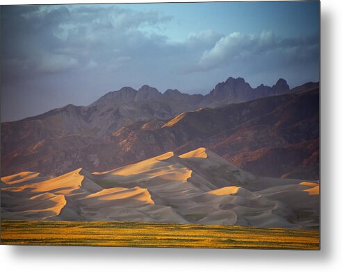 Great Sand Dunes Metal Print featuring the photograph Dune Delight by Morris McClung