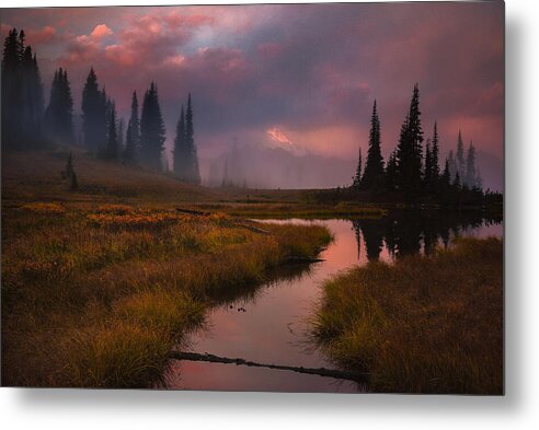 Mt. Rainier Metal Print featuring the photograph Engulfed by Gene Garnace