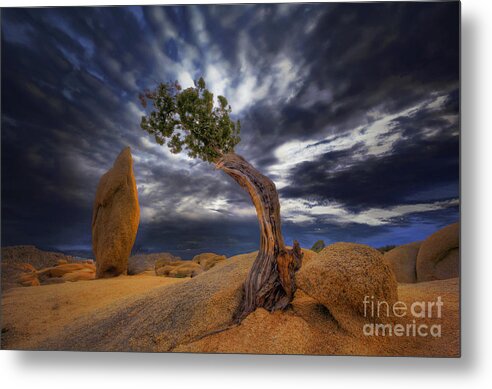 Joshua Tree National Park Metal Print featuring the photograph Forces of Nature by Marco Crupi