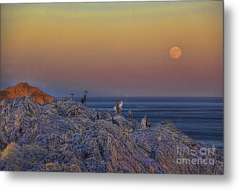 Crete Metal Print featuring the photograph Full moon gathering of Capricorn by Casper Cammeraat