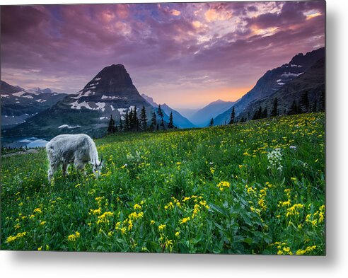 Clouds Metal Print featuring the photograph Glacier National Park 4 by Larry Marshall