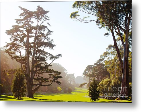  San Francisco Images Metal Print featuring the photograph Golden Gate Park San Francisco by Artist and Photographer Laura Wrede