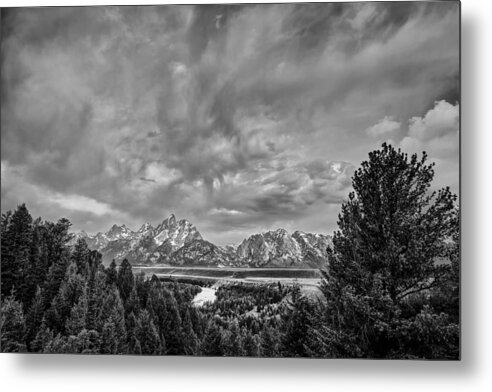 Horizontal Metal Print featuring the photograph Gray Treetons by Jon Glaser