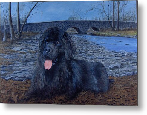 Newfoundland Metal Print featuring the painting Lisa's Newfie by Haldy Gifford