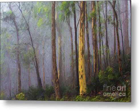 Mist Metal Print featuring the photograph Mist in forest by Sheila Smart Fine Art Photography