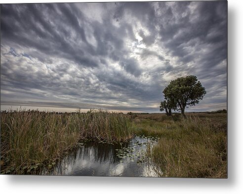 Gray Metal Print featuring the photograph My Backyard by Jon Glaser