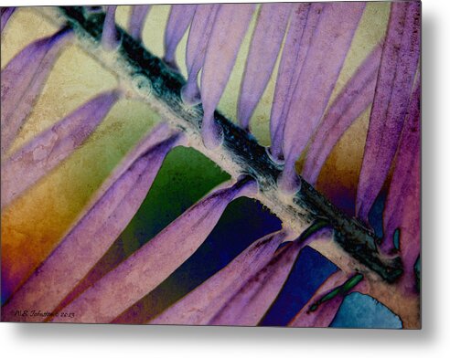Needles Metal Print featuring the photograph Needled 8 by WB Johnston