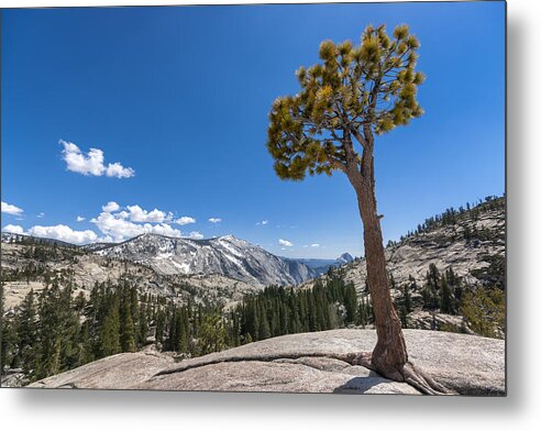 America Metal Print featuring the pastel Olmsted point Yosemite by Francesco Emanuele Carucci