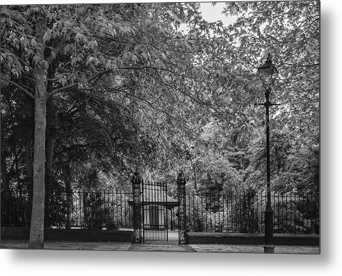 City Park Metal Print featuring the photograph Park in the City by Georgia Clare