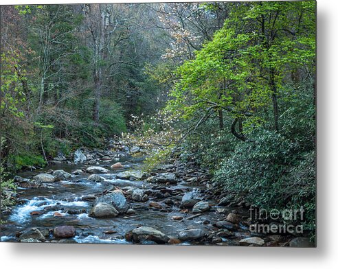 America Metal Print featuring the photograph Pigeon River Spring by Susan Cole Kelly