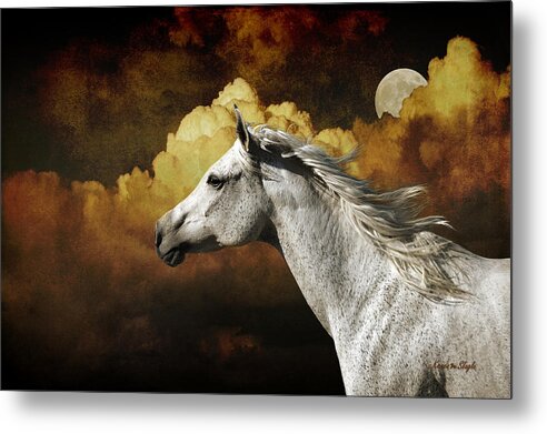 Horse Metal Print featuring the photograph Racing the Moon by Karen Slagle